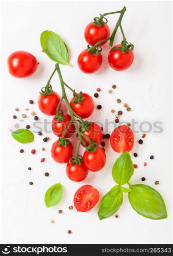 Organic Cherry Sugardrop Tomatoes on the Vine with basil and pepper on white kitchen stone background