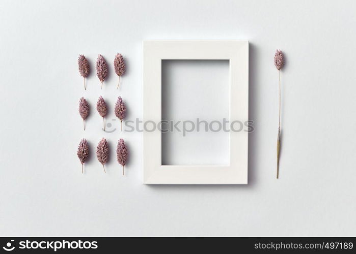 Organic composition from pine cones and rectangular empty frame for text on a light gray background. Top view. Greeting post card.. Froral pattern of dry pink flowers buds and empty frame on a light background.