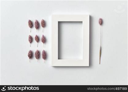Organic composition from pine cones and rectangular empty frame for text on a light gray background. Top view. Greeting post card.. Froral pattern of dry pink flowers buds and empty frame on a light background.