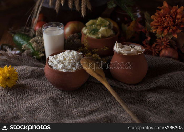 Organic domestic food. Organic domestic food: milk cottage cheese sour cream boiled potato and vegetables in vintage dish on rustic background