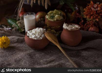Organic domestic food. Organic domestic food: milk cottage cheese sour cream boiled potato and vegetables in vintage dish on rustic background