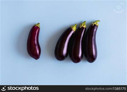 Organic eggplants aligned on a blue table, above view. Fresh violet vegetables top view. Four aubergines arranged on a blue table top view.