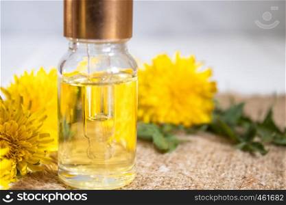 Organic essential oil in a small glass jar with green leaves and dandelion flowers on the table. Flower essential oil. Phytotherapy.. Organic essential oil in a small glass jar with green leaves and dandelion flowers on the table. Flower essential oil.