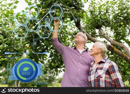 organic farming, agriculture and people concept - happy senior couple with apple tree at summer garden. senior couple with apple tree at summer garden