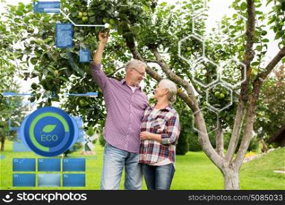 organic farming, agriculture and people concept - happy senior couple with apple tree at summer garden. senior couple with apple tree at summer garden. senior couple with apple tree at summer garden