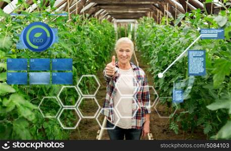 organic farming, agriculture and people concept - happy senior woman at farm greenhouse showing thumbs up. happy senior woman at farm greenhouse. happy senior woman at farm greenhouse