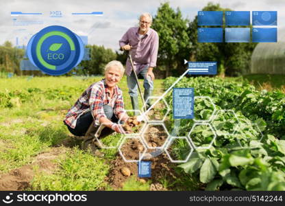 organic farming, agriculture and people concept - senior couple planting potatoes at garden or farm. senior couple planting potatoes at garden or farm