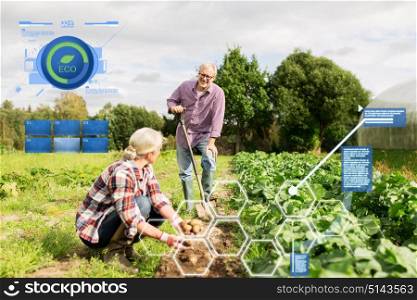 organic farming, agriculture and people concept - senior couple planting potatoes at garden or farm. senior couple planting potatoes at garden or farm