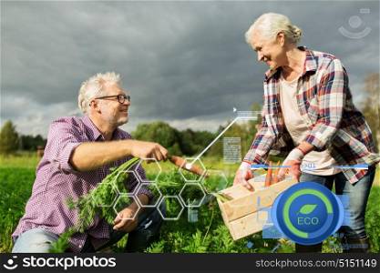 organic farming, agriculture and people concept - senior couple with box for vegetables picking carrots at farm. senior couple with box of carrots on farm