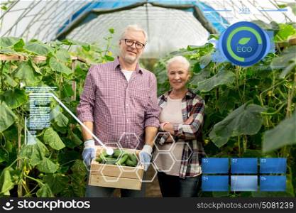 organic farming, agriculture and people concept - senior couple with box of cucumbers at farm greenhouse. senior couple with box of cucumbers on farm
