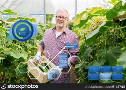 organic farming, agriculture and people concept - senior man with box harvesting crop of cucumbers at greenhouse on farm. old man picking cucumbers up at farm greenhouse