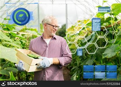organic farming, agriculture and people concept - senior man with box harvesting crop of cucumbers at greenhouse on farm. old man picking cucumbers up at farm greenhouse