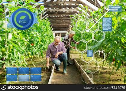 organic farming, agriculture and people concept - senior man with hoe weeding garden bed and woman harvesting crop of tomatoes at greenhouse on farm. senior couple working at farm greenhouse