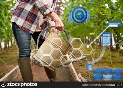organic farming, agriculture and people concept - senior woman with watering can at farm greenhouse. senior woman with watering can at farm greenhouse