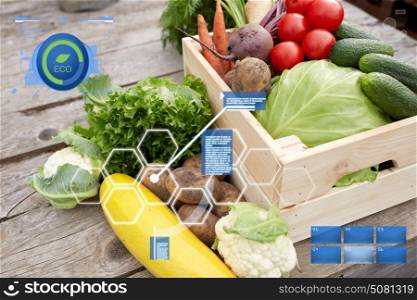 organic farming, food and agriculture concept - close up of vegetables on farm. close up of vegetables on farm