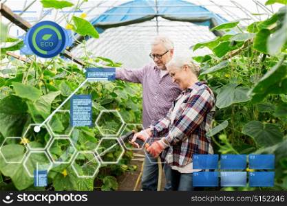 organic farming, gardening, agriculture and people concept - happy senior couple garden hose watering plants or cucumber seedlings at farm greenhouse. senior couple with garden hose at farm greenhouse