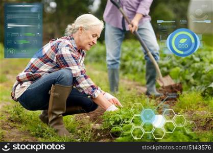organic farming, gardening, agriculture and people concept - happy senior couple working in garden at summer farm. senior couple working in garden or at summer farm