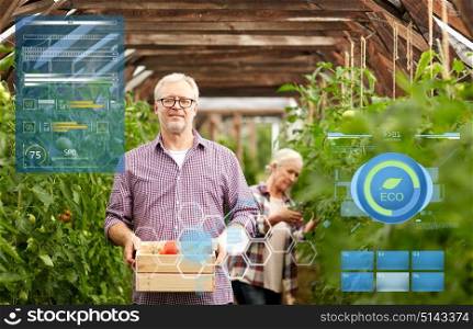 organic farming, gardening and people concept - senior woman and man with box of tomatoes at greenhouse on farm. old couple with box of tomatoes at farm greenhouse