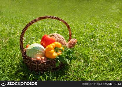 Organic food background. Vegetables in the basket on green grass outdoor