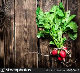 Organic food. Bunch of fresh radishes. On wooden background.. Organic food. Bunch of fresh radishes.
