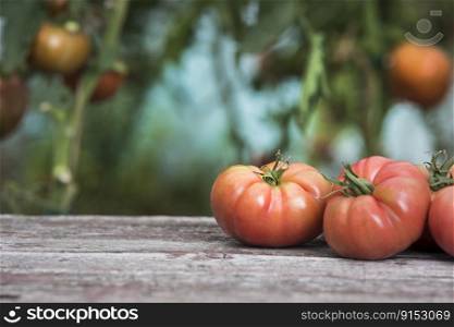 Organic food, Free red vegetables of tomato 