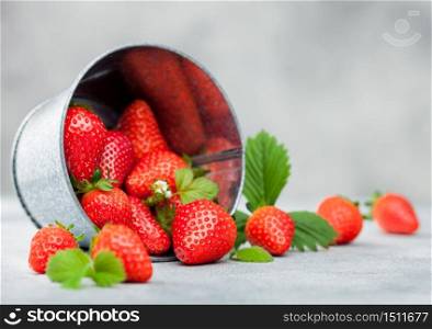 Organic fresh raw strawberries with leaf in steel bucket on light table background.