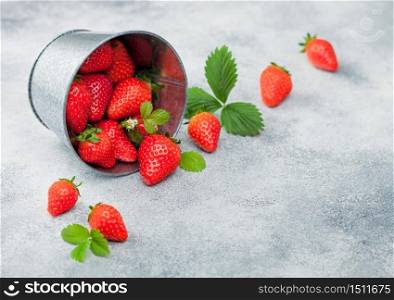 Organic fresh summer farm strawberries with leaf in steel bucket on light table background.
