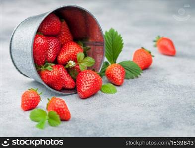 Organic fresh summer farm strawberries with leaf in steel bucket on light table background.