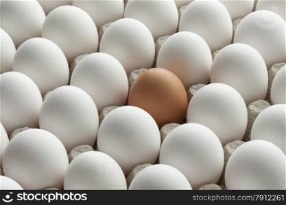 Organic fresh white eggs and one brown in carton crate