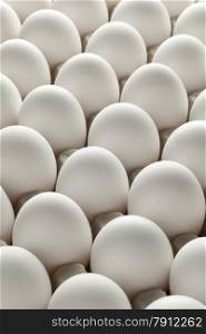 Organic fresh white eggs in carton crate