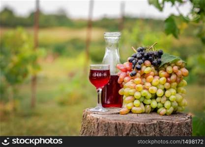 .Organic fruit in basket in summer grass. Fresh grapes, pears and apples in nature. Decanter and glass of wine.. Organic fruit in basket in summer grass. Decanter and glass of wine.