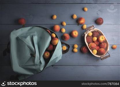 Organic fruits in a school backpack blue table. Ripe peaches and apricots in a metal basket
