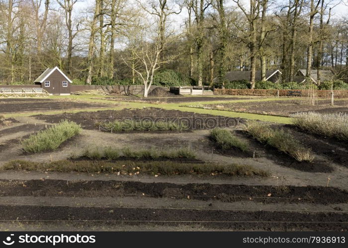 Organic garden at Castle Hackfort.