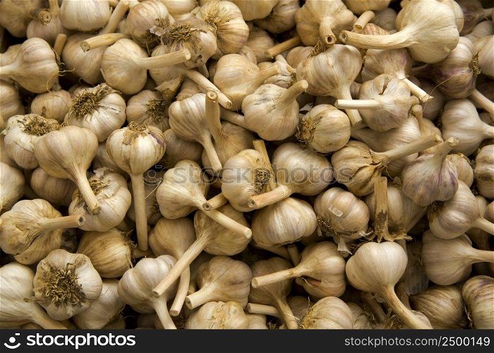 Organic garlics from a local market