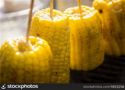 organic grilled corn on the stove