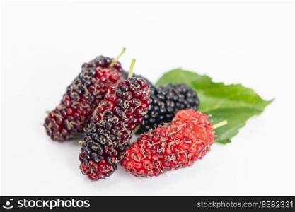 organicμlberry fruits with green≤aves isolated on white background.