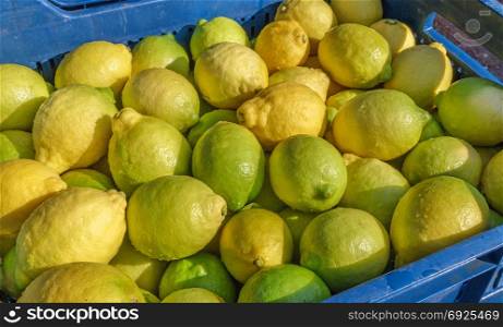 Organic lemon, lemon citrus fruits in basket