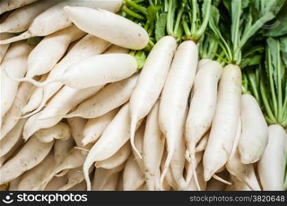 Organic local daikon radish vegetables for sale at outdoor asian marketplace