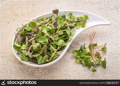 organic micro greens (kale, mustard, pea, herbs) on a ceramic teardrop shaped bowl against grunge bran wood