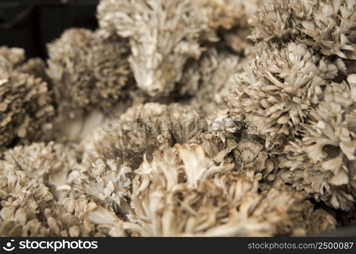 Organic mushrooms from a local market