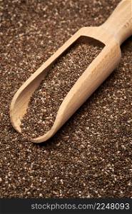 Organic natural chia seeds and wooden scoop close-up. High quality photo. Organic natural chia seeds and wooden scoop close-up