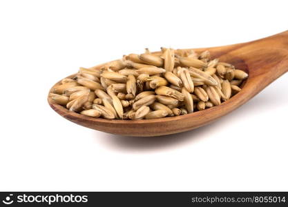 organic oat grains isolated on white background in wooden spoon