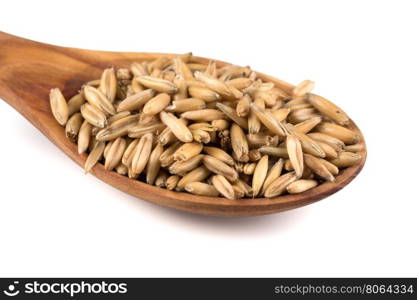 organic oat grains isolated on white background in wooden spoon