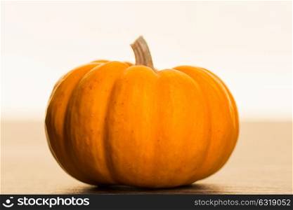 organic orange pumpkin close up against white