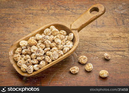 organic peeled tiger nuts, a rich source of resistant starch, wooden scoop against rustic wood