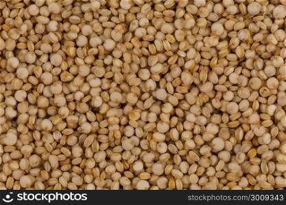 Organic Quinoa (Chenopodium quinoa) seeds Macro close up background texture