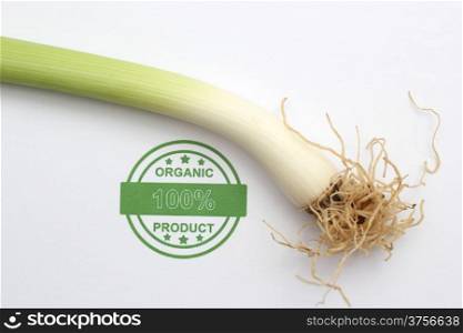 Organic spring onion