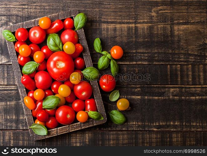 Organic Tomatoes with basil in vintage wooden box on wooden kitchen background.