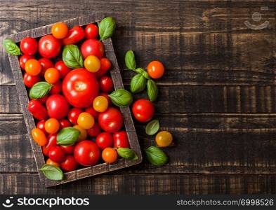 Organic Tomatoes with basil in vintage wooden box on wooden kitchen background.
