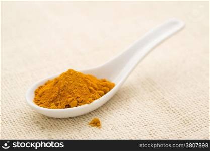 organic turmeric root powder on a white Chinese spoon against burlap canvas